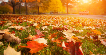 astenia otoñal INESEM