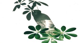 faringitis y remedios de la abuela