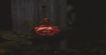 donar cuerpo a la ciencia