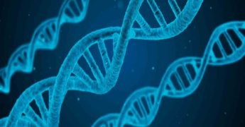 Descubre la principales aplicaciones de la terapia genica