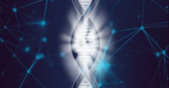 Marcadores genéticos