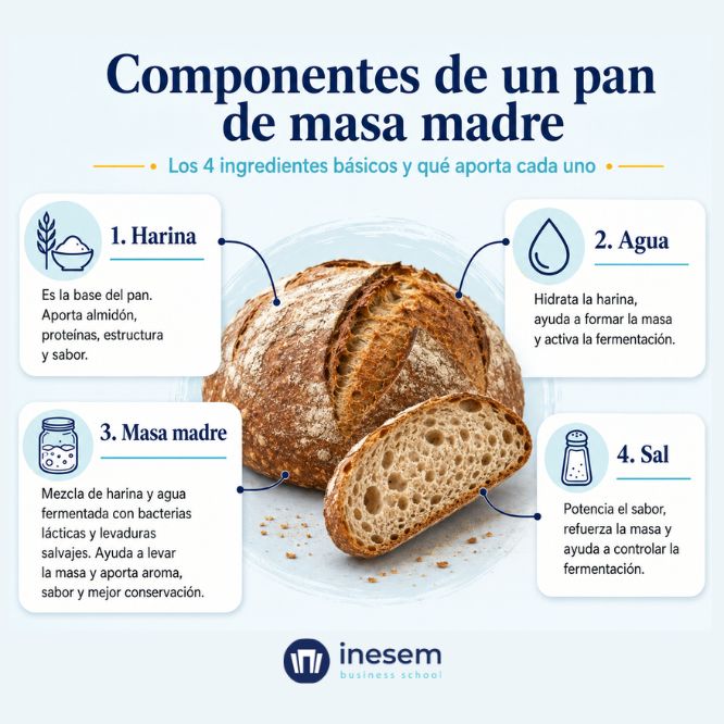 Componentes de un pan de masa madre