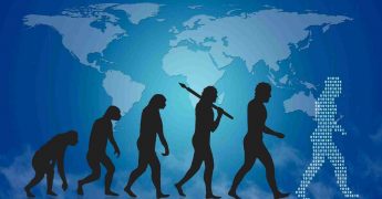 Diferencias de comportamiento entre primates y humanos