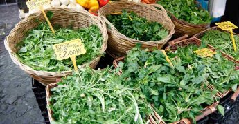 Circular Food Design