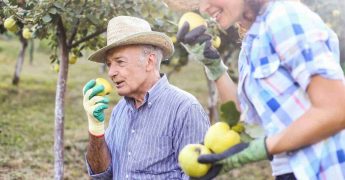 productos ecológicos