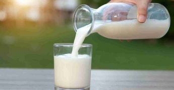 Leche de vaca vs bebidas vegetales