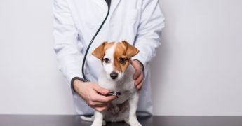 cursos auxiliar enfermeria