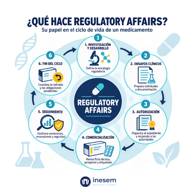 Funciones de Regulatory Affairs durante el ciclo de vida de un medicamento