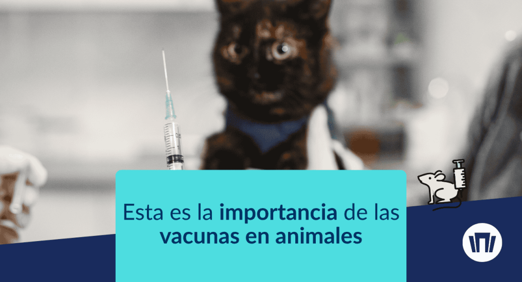 vacunas de los animales