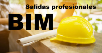 salidas profesionales BIM