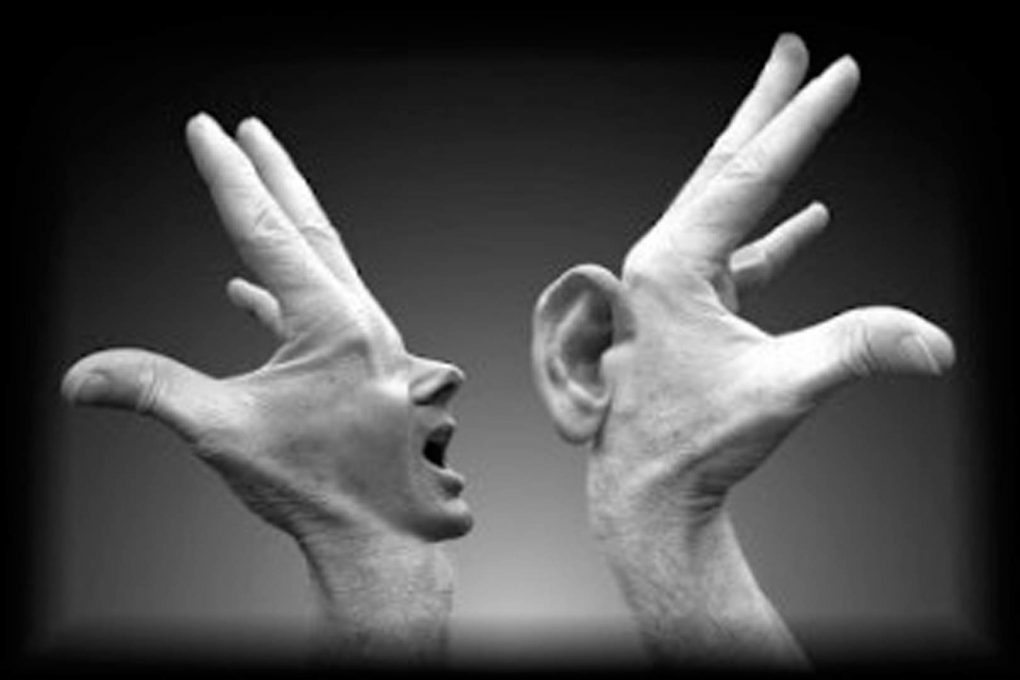 lenguaje y discapacidad