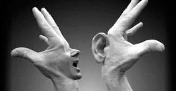 lenguaje y discapacidad