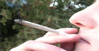 debate legalidad droga