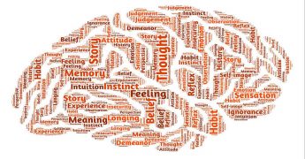 los efectos de las drogas en el cerebro