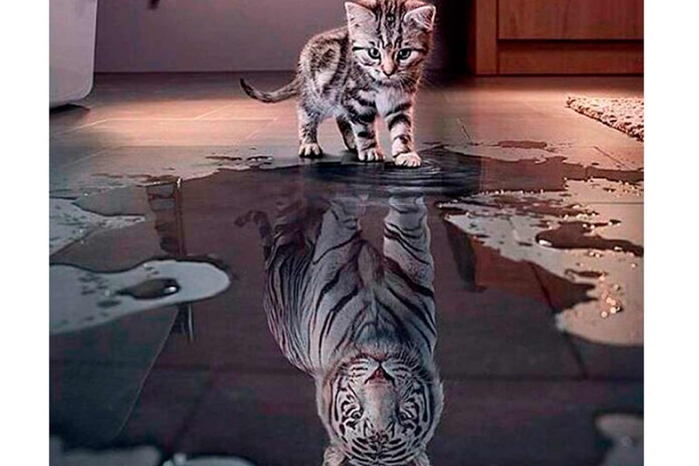 el efecto pigmalión y el efecto de nuestras palabras