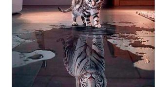 el efecto pigmalión y el efecto de nuestras palabras