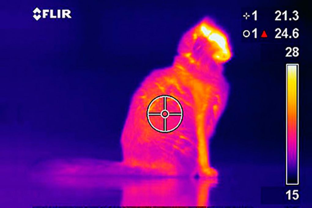 las diferentes aplicaciones de la termografía
