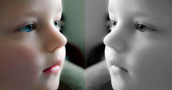 la teoría del espejo de personalidad