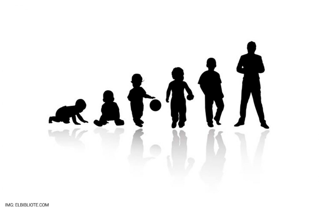 pedagogía y los 4 planos del desarrollo montessori