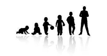 pedagogía y los 4 planos del desarrollo montessori