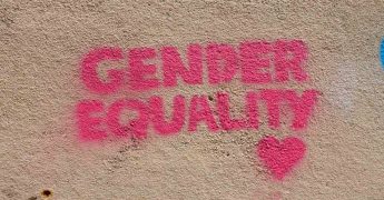 objetivos mainstream de genero