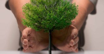 el árbol de problemas y sus ventajas