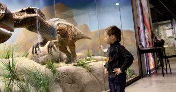 no olvidar la importancia del arte en la educación infantil