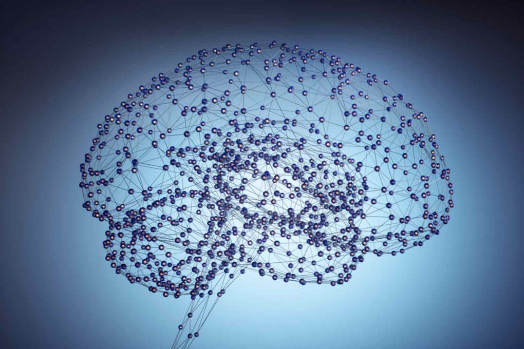 la neuroeducación, una ciencia desconocida