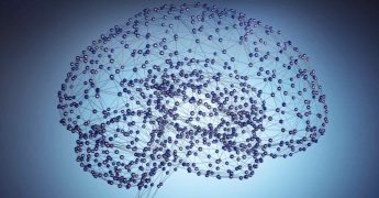 la neuroeducación, una ciencia desconocida