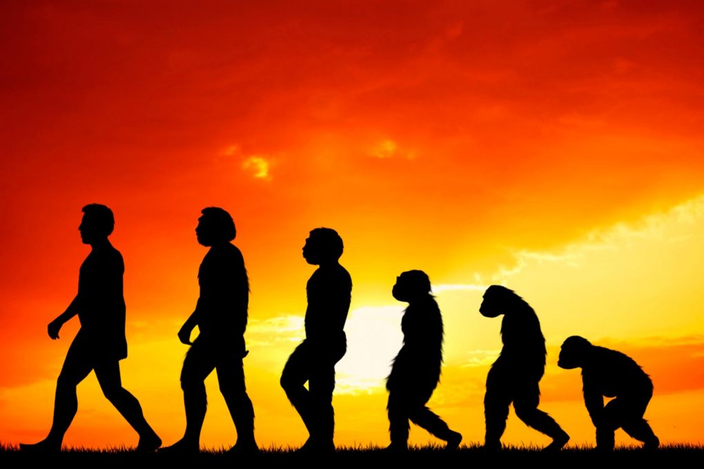 involución: violencia de género juvenil en aumento