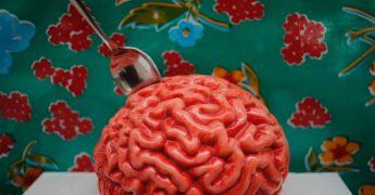 La anatomía de las emociones nos explica lo que sucede en nuestro interior cuando sentimos emociones. ¿Qué sucede en nuestro interior cuando sentimos miedo, tristeza, felicidad?