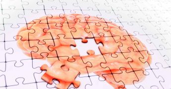 Campos de la neuropsicología