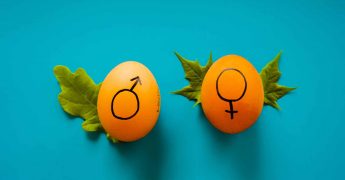 Proyecto de Ley de Libertad sexual