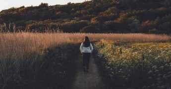 Psicología del entorno