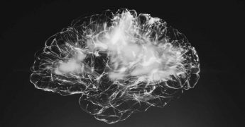 Neurociencia aplicada a la gestión empresarial