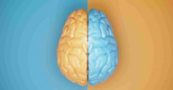 neuropsicologia de los lobulos frontales