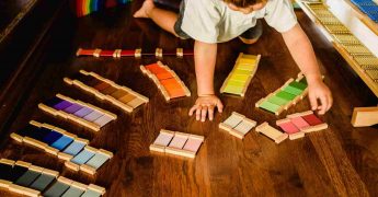 periodos sensibles montessori