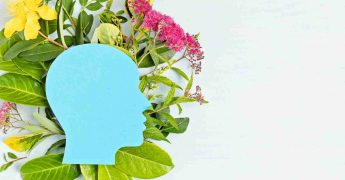 salud mental sistema educativo