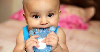 De la succión a la masticación