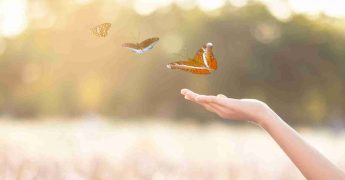 Personas altamente sensibles