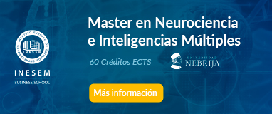 El Master en Neurociencia e Inteligencias Múltiples forma a los profesionales de la educación en el aprendizaje según el desarrollo de cada área del cerebro.