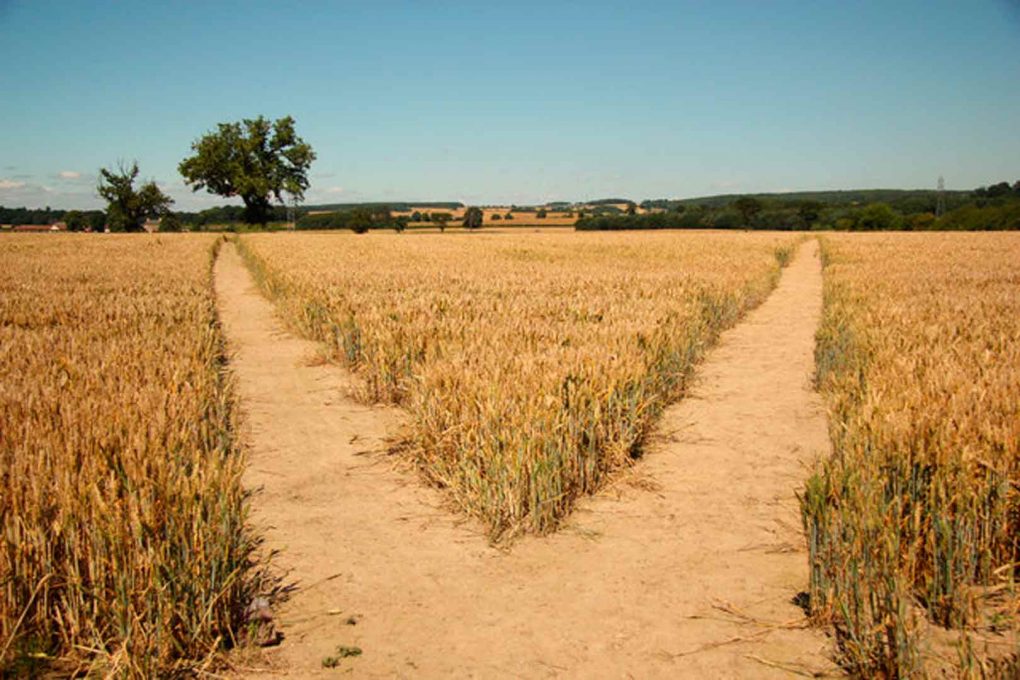 problemas del outsourcing en recursos humanos