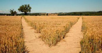 problemas del outsourcing en recursos humanos