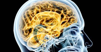 neuromarketing empresarial