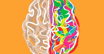 neuromarketing y comunicación