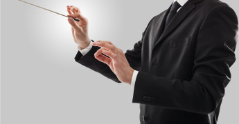 desarrollo de negocio