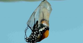 Digitalización de negocios