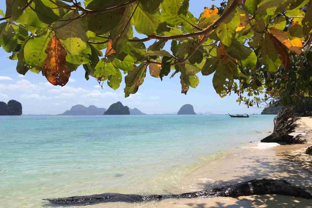 Chiringuitos Financieros