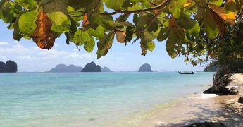 Chiringuitos Financieros