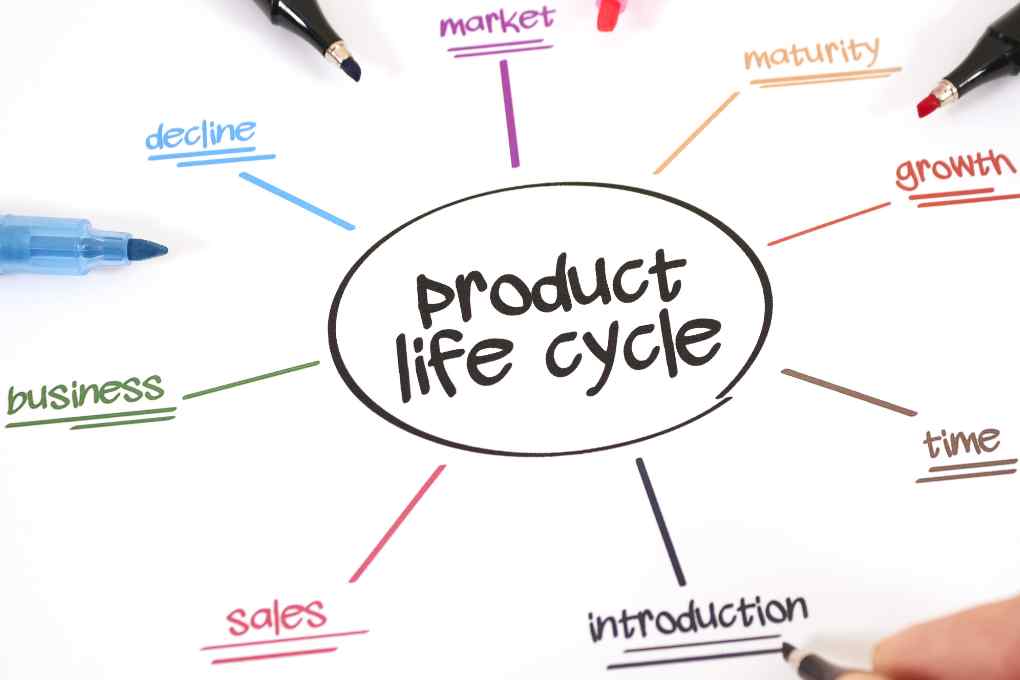 ciclo de vida de un producto